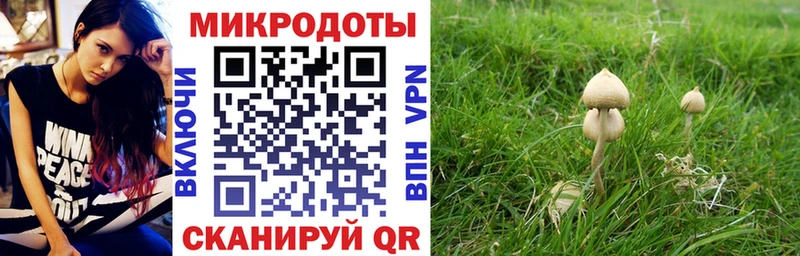 Галлюциногенные грибы ЛСД  Инсар 